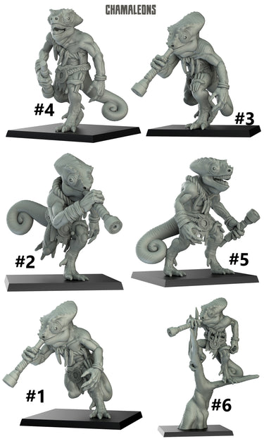Chameleon Bundle